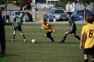   Click here to view: 